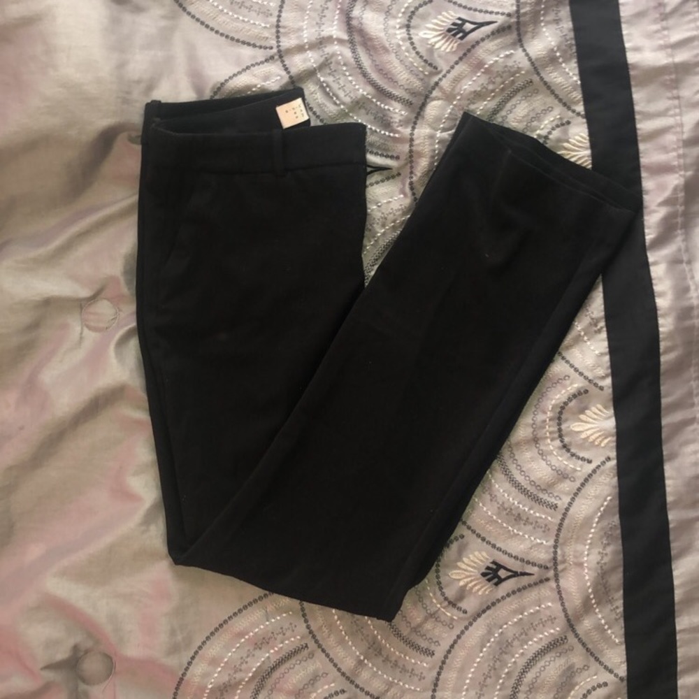 Dress Pants